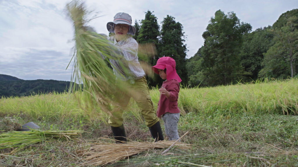 She left office life behind for good - Tamami during rice harvest in Ishidani in September 2022 © NZZ Format
