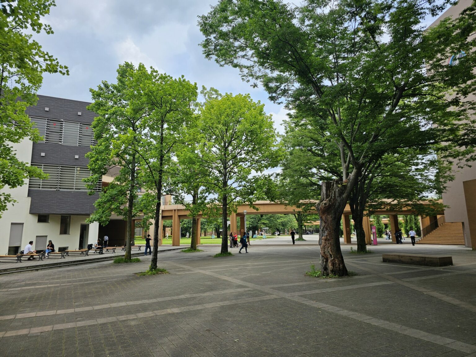 Der Campus der Tokyo University of Foreign Studies in Tama wirkt durch das viele Grün sehr entspannt © Sonja Blaschke