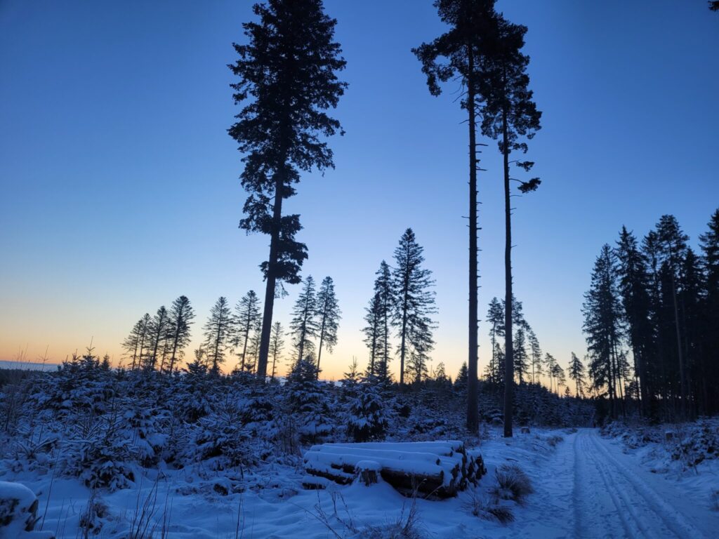 Sunrise in Southern Germany, 2026 | 南ドイツの日の出、２０２６年