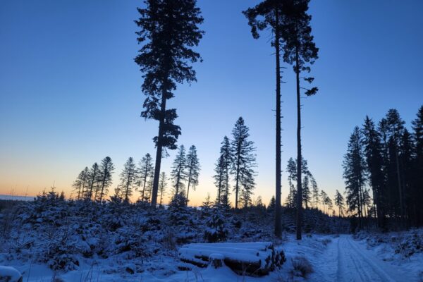 Sunrise in Southern Germany, 2026 | 南ドイツの日の出、２０２６年